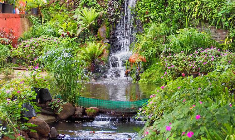 Mapro Garden